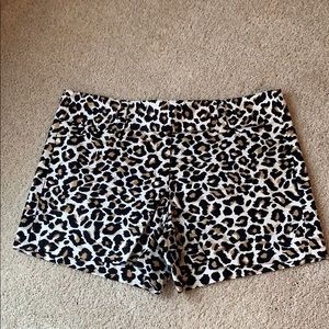Cheetah Print White House Black Market Shorts